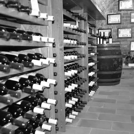 Affittacamere Vinarsky Dvorek 3*