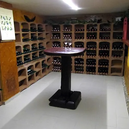 Affittacamere Vinarsky Dvorek